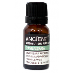 Essential Oil Ravensara Essential Oil Ravensara